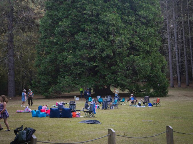 Pilot Hill Arboretum, Batlow, New South Wales, Australia, Australia